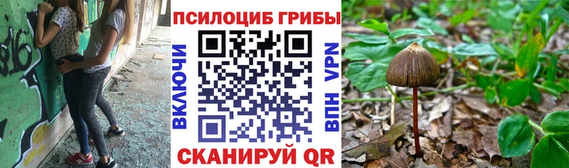 Галлюциногенные грибы Magic Shrooms  закладка  Ржев 